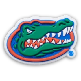 University of Florida Jibbitz™ Charms University of Florida Jibbitz™ Charms